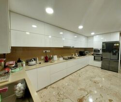 Meyer Road (D15), Semi-Detached #637818561